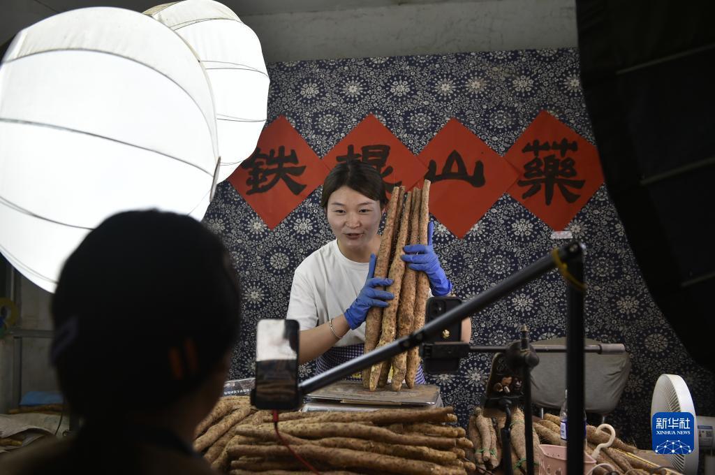 白菜网送彩金